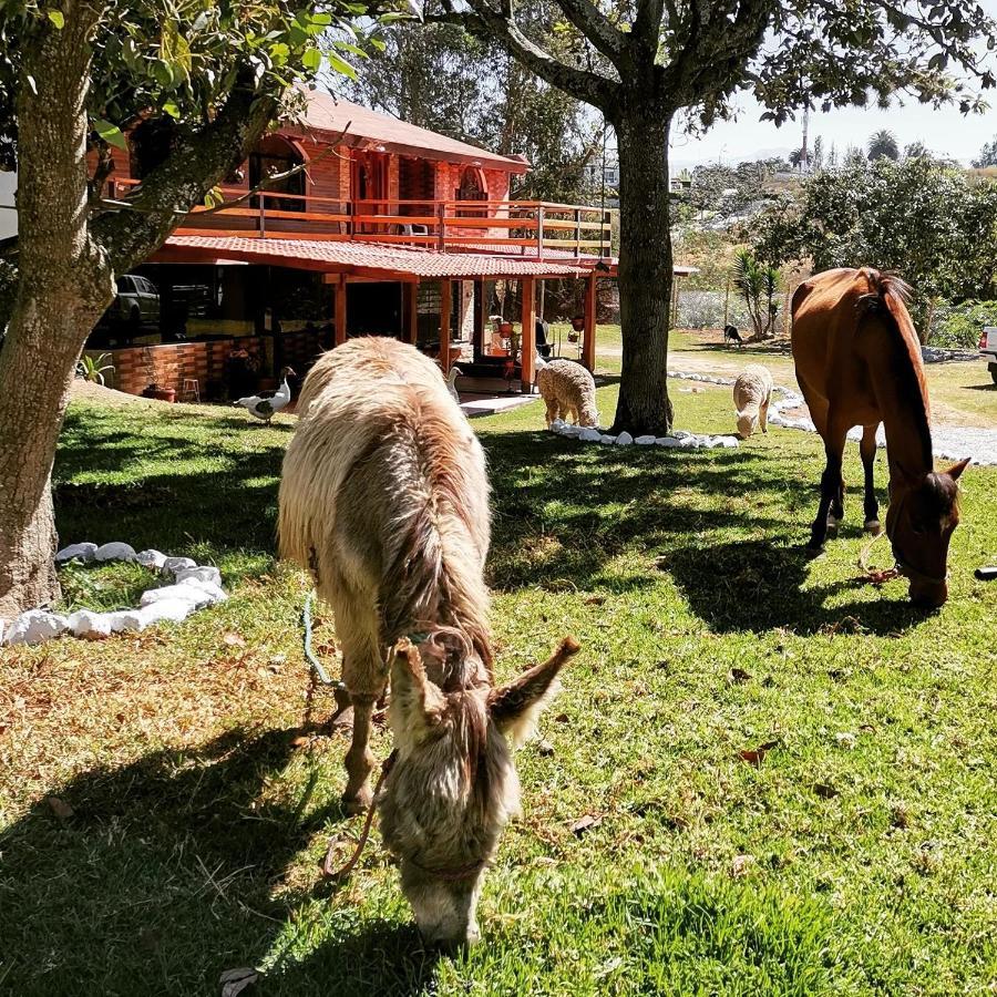 La Granja De Papa Alberto Puembo エクステリア 写真