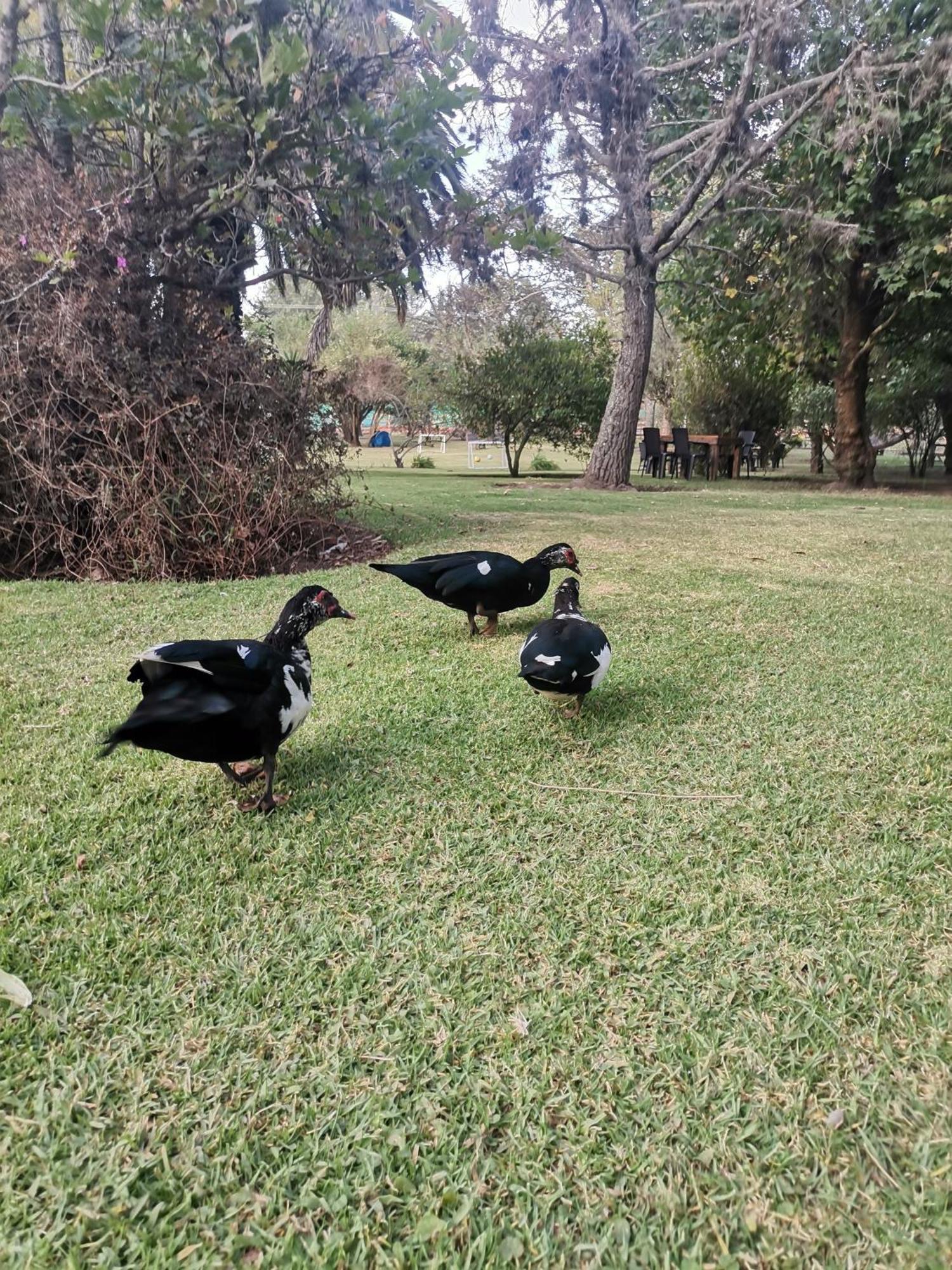 La Granja De Papa Alberto Puembo エクステリア 写真